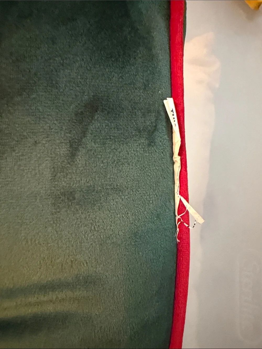 Source Unknown Green Holiday Pillow with Red 'BELIEVE' Embroidery